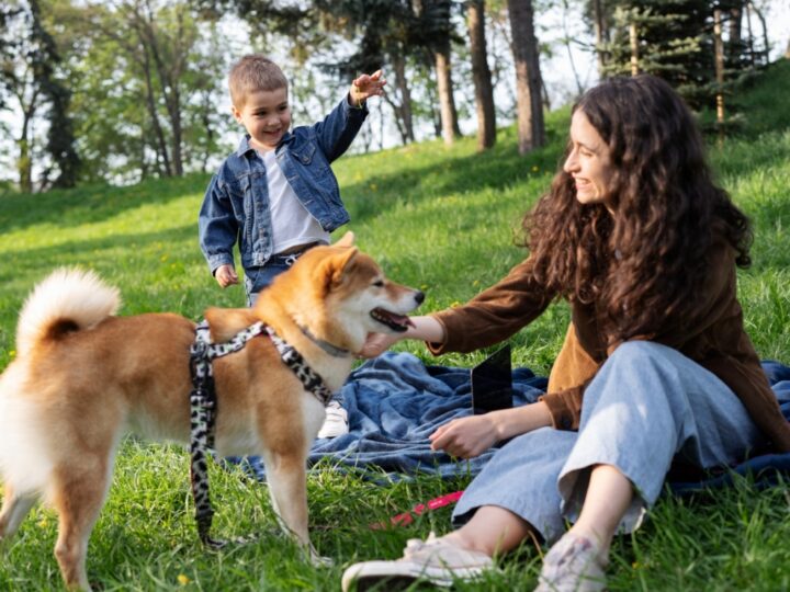 Psi piknik wrzesiński – doskonała okazja dla miłośników czworonogów