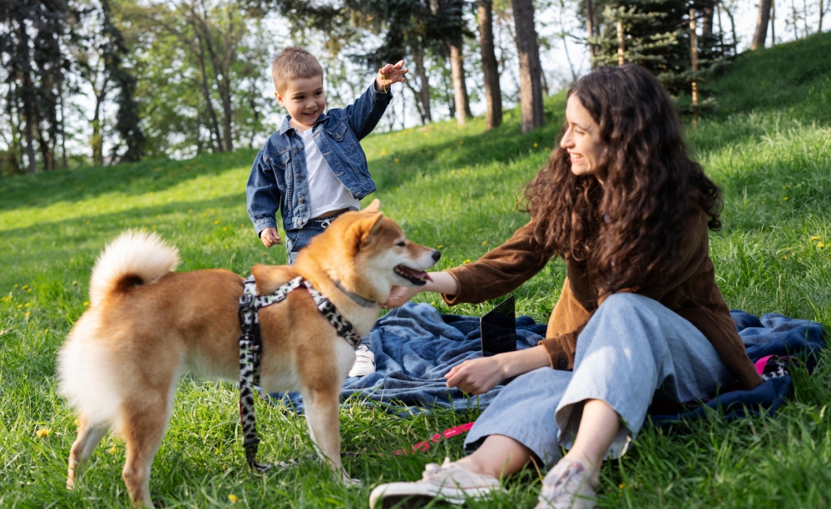 Psi piknik wrzesiński – doskonała okazja dla miłośników czworonogów