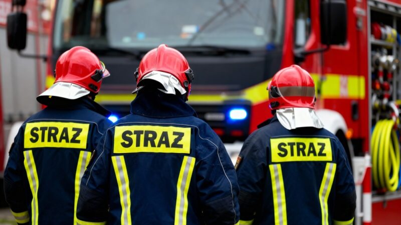 Nowi strażacy-ratownicy z Wrześni zdobijają szczyty umiejętności w trudnym egzaminie końcowym