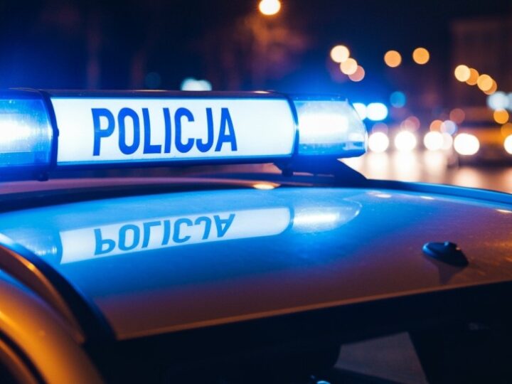 Deportacja 38-letniego Gruzina za łamanie prawa w Polsce