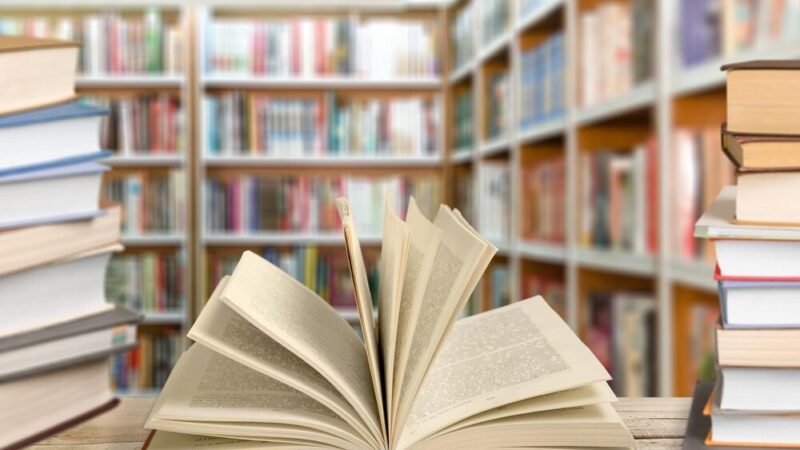 Sensoryczne przygody z książką dla dzieci w Pyzdrach