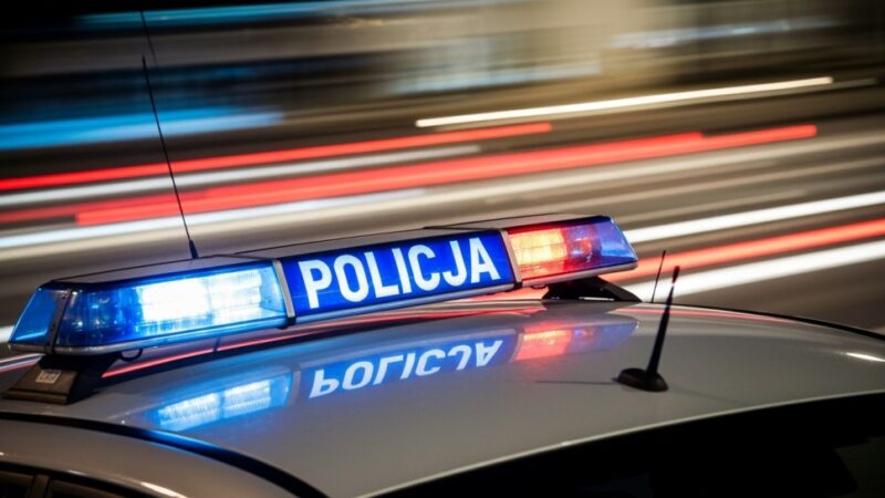 Ukrainiec z zakazami trafił do więzienia po kolizji drogowej